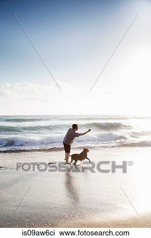 Mid adult man and dog, playing together on beach View Large Photo Image Stock Image - Mid adult man and dog, playing together on beach. Fotosearch