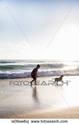 Mid adult man and dog, playing together on beach View Large Photo Image Stock Image - Mid adult man and dog, playing together on beach. Fotosearch