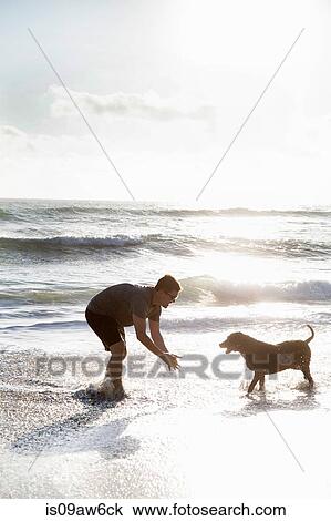 Mid adult man and dog, playing together on beach View Large Photo Image Stock Image - Mid adult man and dog, playing together on beach. Fotosearch