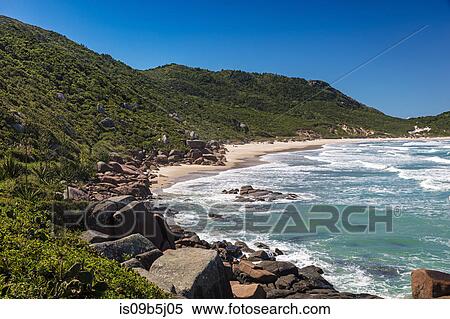 Mole beach, Praia da Galheta, Florianopolis, Santa Catarina, Brazil View Large Photo Image Stock Photography - Mole beach, Praia da Galheta, Florianopolis, Santa Catarina, Brazil. Fotosearch