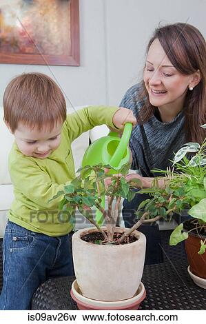 Mother and son watering plant at home View Large Photo Image Stock Photo - Mother and son watering plant at home. Fotosearch