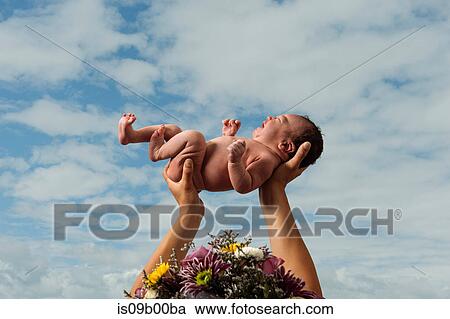 Mother with flowers in hair, holding baby boy in air, rear view View Large Photo Image Stock Image - Mother with flowers in hair, holding baby boy in air, rear view. Fotosearch
