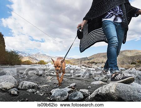 Neck down view of woman walking dog on rocky riverbed View Large Photo Image Picture - Neck down view of woman walking dog on rocky riverbed. Fotosearch