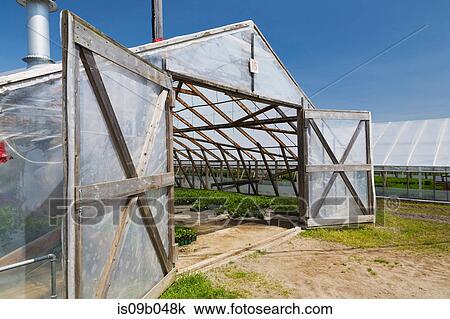 Opened doors on a wooden framed commercial greenhouse with plants being grown in containers View Large Photo Image Stock Image - Opened doors on a wooden framed commercial greenhouse with plants being grown in containers. Fotosearch