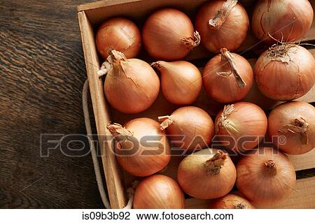 Overhead view of fresh onions in wooden crate View Large Photo Image Stock Image - Overhead view of fresh onions in wooden crate. Fotosearch