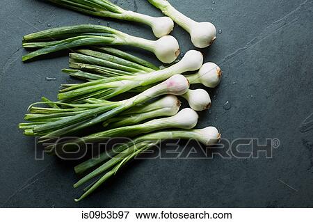 Overhead view of fresh whole spring onions on table View Large Photo Image Stock Photo - Overhead view of fresh whole spring onions on table. Fotosearch