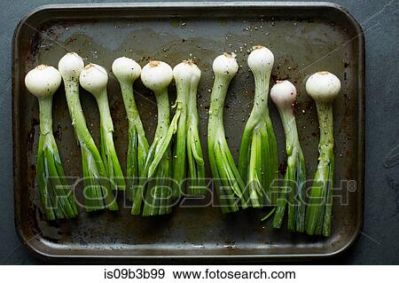 Overhead view of whole spring onions in roasting tin View Large Photo Image Stock Photo - Overhead view of whole spring onions in roasting tin. Fotosearch