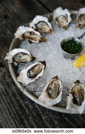 Oysters, Tomales Bay, Marin County, California, USA View Large Photo Image Stock Photo - Oysters, Tomales Bay, Marin County, California, USA. Fotosearch