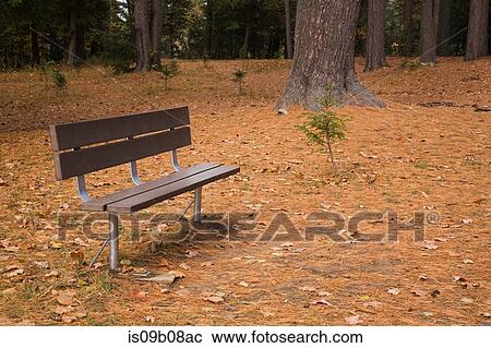 Park bench in forest in autumn View Large Photo Image Stock Image - Park bench in forest in autumn. Fotosearch
