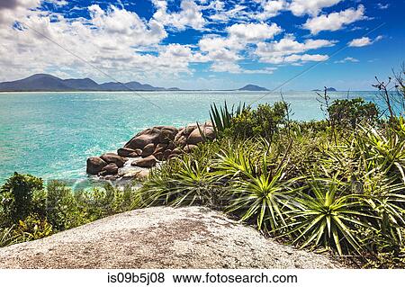 Plants and rocks by blue sea, Florianopolis, Santa Catarina, Brazil View Large Photo Image Stock Photo - Plants and rocks by blue sea, Florianopolis, Santa Catarina, Brazil. Fotosearch