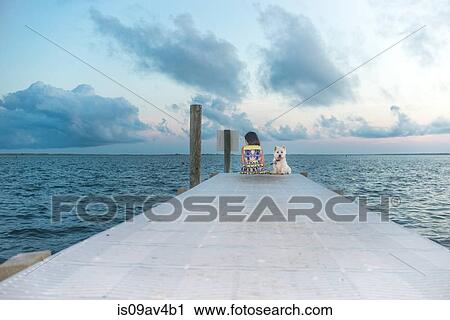 Portrait of dog sitting on sea pier next to girl View Large Photo Image Stock Image - Portrait of dog sitting on sea pier next to girl. Fotosearch