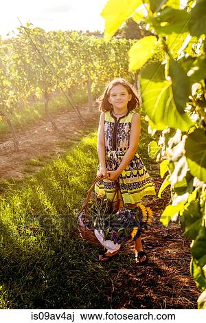 Portrait of girl carrying basket of flowers in vineyard View Large Photo Image Stock Image - Portrait of girl carrying basket of flowers in vineyard. Fotosearch
