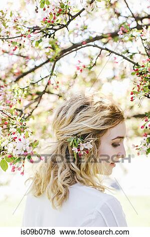 Portrait of woman by cherry blossom tree looking away View Large Photo Image Stock Photo - Portrait of woman by cherry blossom tree looking away. Fotosearch