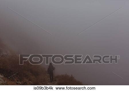 Rear view of male hiker hiking up misty mountain track, Mineral King, Sequoia National Park, California, USA View Large Photo Image Stock Image - Rear view of male hiker hiking up misty mountain track, Mineral King, Sequoia National Park, California, USA. Fotosearch