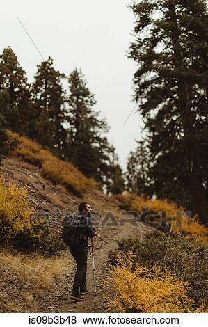 Rear view of male hiker hiking up mountain track, Mineral King, Sequoia National Park, California, USA View Large Photo Image Stock Photo - Rear view of male hiker hiking up mountain track, Mineral King, Sequoia National Park, California, USA. Fotosearch