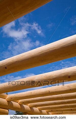 Row of Eastern white pine logs to support the floor of a unfinished Scandinavian cottage style log cabin View Large Photo Image Stock Image - Row of Eastern white pine logs to support the floor of a unfinished Scandinavian cottage style log cabin. Fotosearch