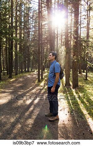 Senior male hiker standing in sunlit forest, Canmore, Alberta, Canada View Large Photo Image Stock Photo - Senior male hiker standing in sunlit forest, Canmore, Alberta, Canada. Fotosearch