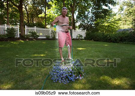 Senior man in garden watering flower hanging basket View Large Photo Image Stock Photo - Senior man in garden watering flower hanging basket. Fotosearch