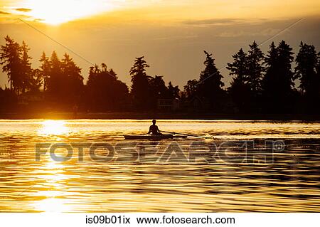 Silhouetted man rowing single scull on Puget Sound at sunset, Winslow, Bainbridge Island, Washington State, USA View Large Photo Image Stock Photo - Silhouetted man rowing single scull on Puget Sound at sunset, Winslow, Bainbridge Island, Washington State, USA. Fotosearch