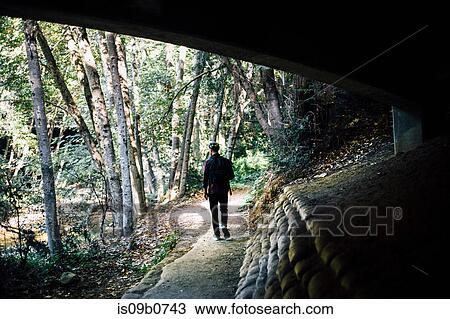 Silhouetted rear view of man walking in forest, Big Sur, California, USA View Large Photo Image Stock Image - Silhouetted rear view of man walking in forest, Big Sur, California, USA. Fotosearch
