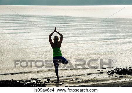Silhouetted rear view of young woman practicing yoga standing tree pose on beach View Large Photo Image Picture - Silhouetted rear view of young woman practicing yoga standing tree pose on beach. Fotosearch