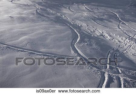 Ski tracks in snow, Utah, USA View Large Photo Image Stock Photography - Ski tracks in snow, Utah, USA. Fotosearch