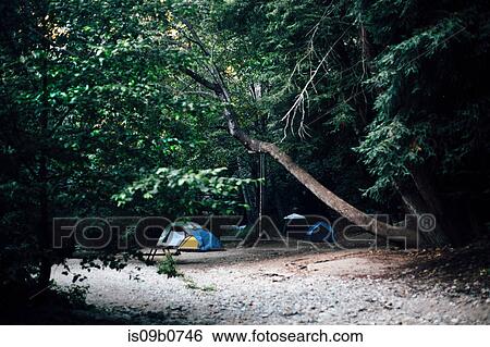 Small group of tents camping in dark forest, Big Sur, California, USA View Large Photo Image Stock Photograph - Small group of tents camping in dark forest, Big Sur, California, USA. Fotosearch