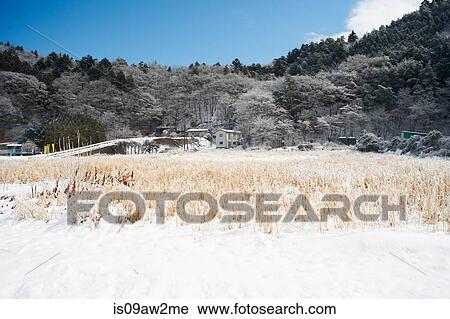 Snow covered landscape, Lake Kawaguchiko, Mount Fuji, Japan View Large Photo Image Stock Image - Snow covered landscape, Lake Kawaguchiko, Mount Fuji, Japan. Fotosearch