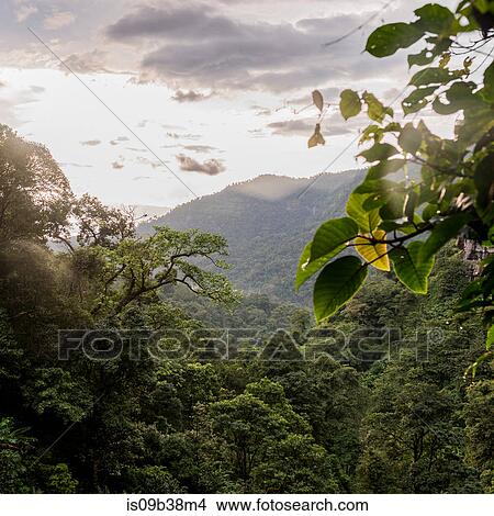 Sunrise in Ban Nongluang National Park, Champassak province, Paksong, Laos View Large Photo Image Picture - Sunrise in Ban Nongluang National Park, Champassak province, Paksong, Laos. Fotosearch