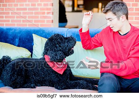 Stock Photo - Teenage boy playing with pet dog on sofa. Fotosearch