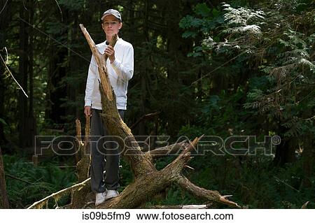Teenage boy sitting on fallen tree trunk looking at camera, Pacific Rim National Park, Vancouver Island, Canada View Large Photo Image Stock Photo - Teenage boy sitting on fallen tree trunk looking at camera, Pacific Rim National Park, Vancouver Island, Canada. Fotosearch