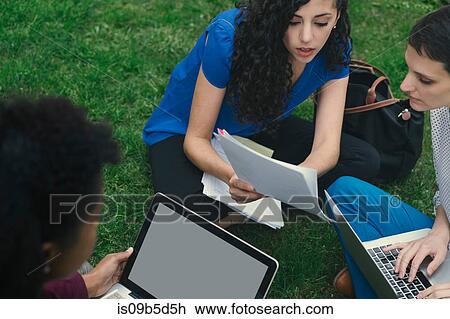 Three women, sitting on grass, studying, using laptops View Large Photo Image Stock Image - Three women, sitting on grass, studying, using laptops. Fotosearch