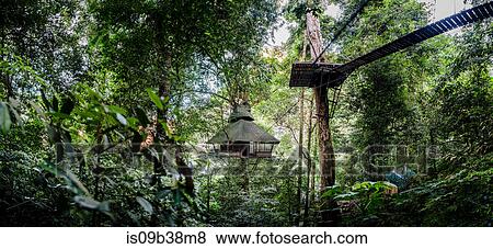 Treehouse, Ban Nongluang National Park, Champassak province, Paksong, Laos View Large Photo Image Stock Photo - Treehouse, Ban Nongluang National Park, Champassak province, Paksong, Laos. Fotosearch