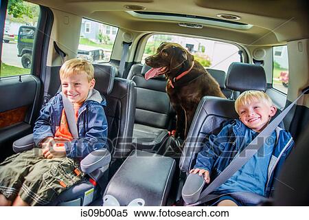 Twin brothers sitting in back of vehicle, mischievous expressions, pet dog sitting behind View Large Photo Image Stock Photography - Twin brothers sitting in back of vehicle, mischievous expressions, pet dog sitting behind. Fotosearch