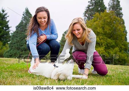 Two young women playing with dog in park View Large Photo Image Picture - Two young women playing with dog in park. Fotosearch