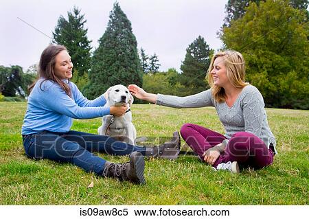 Two young women playing with dog in park View Large Photo Image Stock Photography - Two young women playing with dog in park. Fotosearch