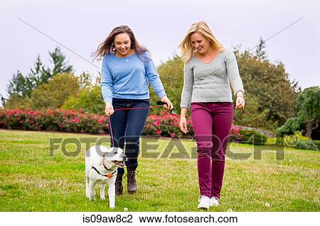 Two young women walking dog in park View Large Photo Image Stock Image - Two young women walking dog in park. Fotosearch