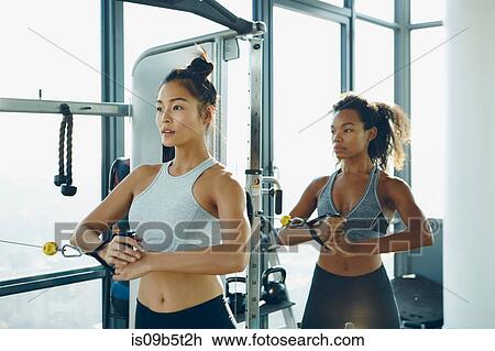 Two young women working out in gym, using gym equipment View Large Photo Image Stock Image - Two young women working out in gym, using gym equipment. Fotosearch