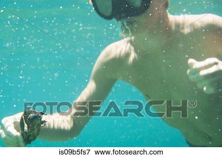 Underwater view of teenage boy with common snapping turtle, Econfina Creek, Youngstown, Florida, USA View Large Photo Image Stock Photo - Underwater view of teenage boy with common snapping turtle, Econfina Creek, Youngstown, Florida, USA. Fotosearch