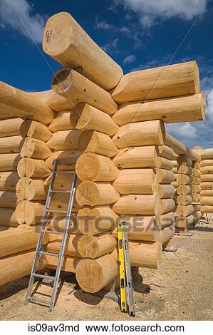 Stock Image - Unfinished Scandinavian Eastern white pine log cabin erected on builder's lot to adjust and ensure that all the logs fit properly. Fotosearch