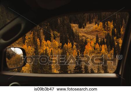 View of autumn forest from car window, Mineral King, Sequoia National Park, California, USA View Large Photo Image Stock Photo - View of autumn forest from car window, Mineral King, Sequoia National Park, California, USA. Fotosearch