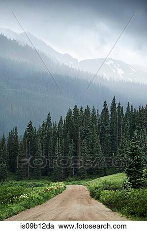 Stock Image - View of dirt track and low cloud over mountain forests, Crested Butte, Colorado, USA. Fotosearch