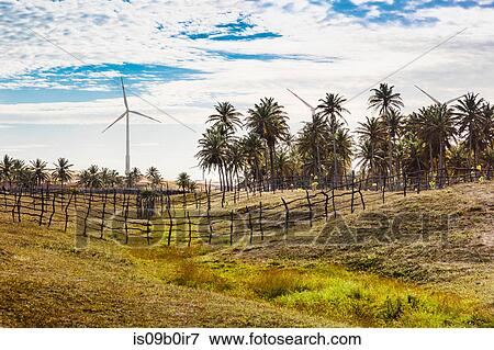 Wind turbines in tropical landscape, Taiba, Ceara, Brazil View Large Photo Image Stock Photo - Wind turbines in tropical landscape, Taiba, Ceara, Brazil. Fotosearch