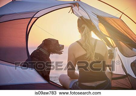 Stock Image - Woman and dog inside tent. Fotosearch