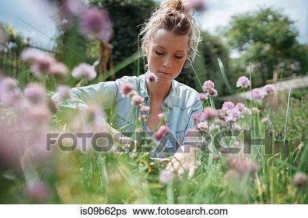 Stock Photograph - Woman gardening. Fotosearch