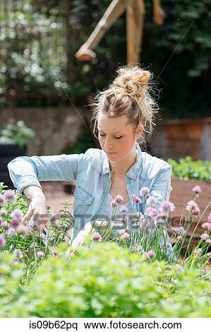 Stock Photography - Woman gardening. Fotosearch