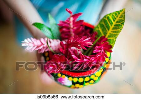 Stock Photograph - Woman holding bowl of picked flowers, close-up,, Puerto Escondido, Oaxaca, Mexico. Fotosearch