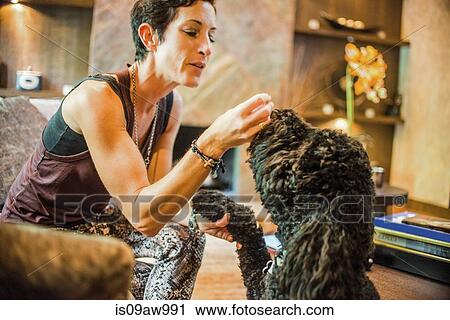 Woman holding dogs paw and feeding it treats from sofa View Large Photo Image Stock Image - Woman holding dogs paw and feeding it treats from sofa. Fotosearch