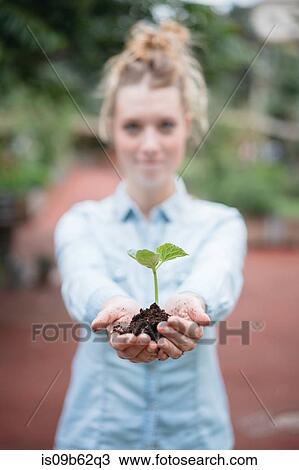 Stock Image - Woman holding seedling. Fotosearch