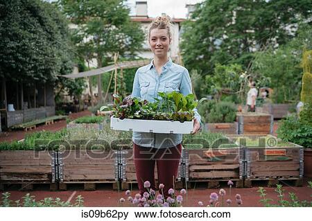 Stock Photo - Woman in garden holding tray of plants. Fotosearch